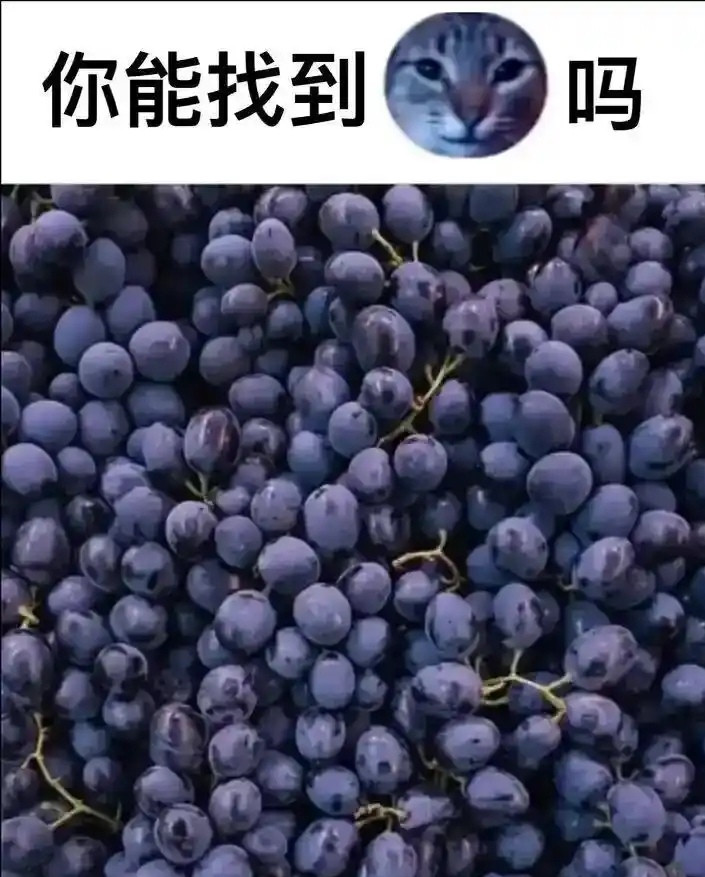 五秒钟就找到了，没难度