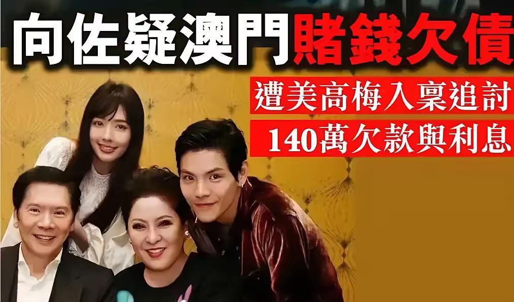 这是出了什么大事？向佐赌钱欠了200万被何超琼给告了！为什么不私下处理，直接给