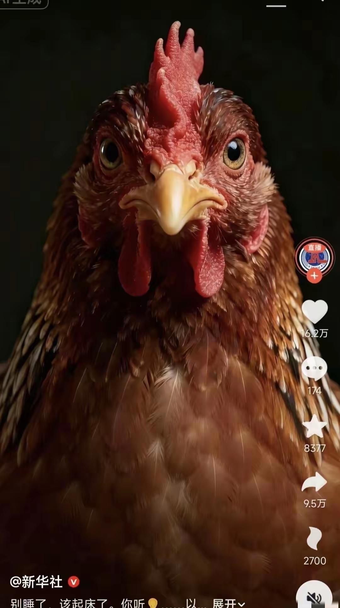 新华社突然发了一只眼神超犀利的大鸡，配文就一句：别睡了，该起床了，全网都在猜背后