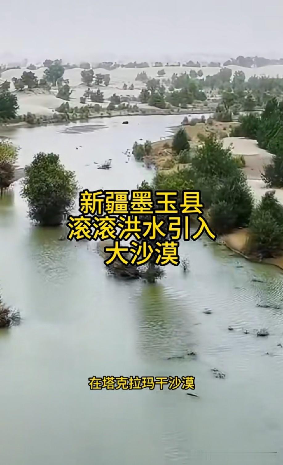 不错，沙漠变绿洲