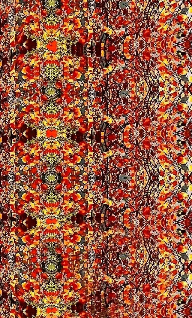 中国和美国掰手腕绝不手软---我
