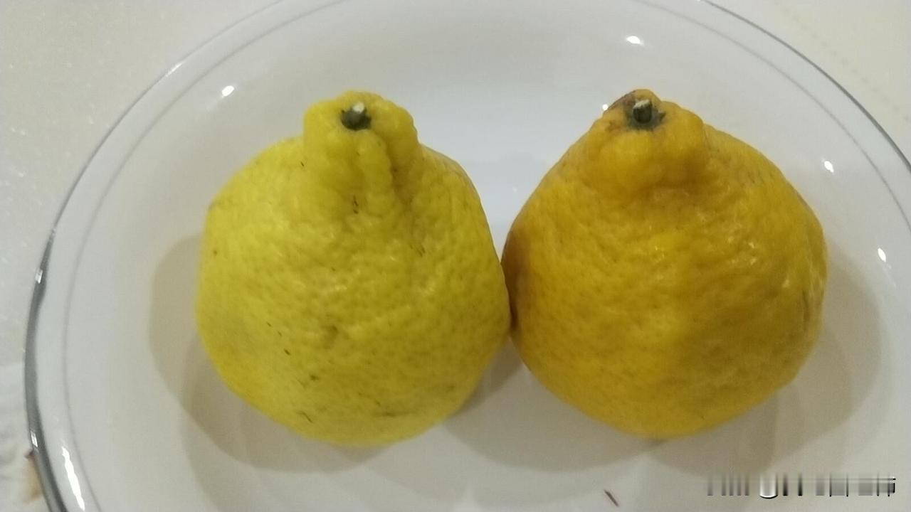 穷人家的米都是有颗数的真的是搞笑又心酸，前几天老公说等过年发了年终奖我们互送礼