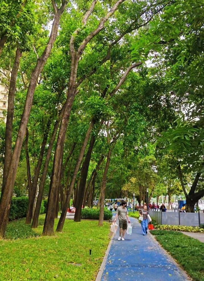到深圳生活30年了，看着这座城市的千变万化，不断成长。深圳这座城市城建水平是比较