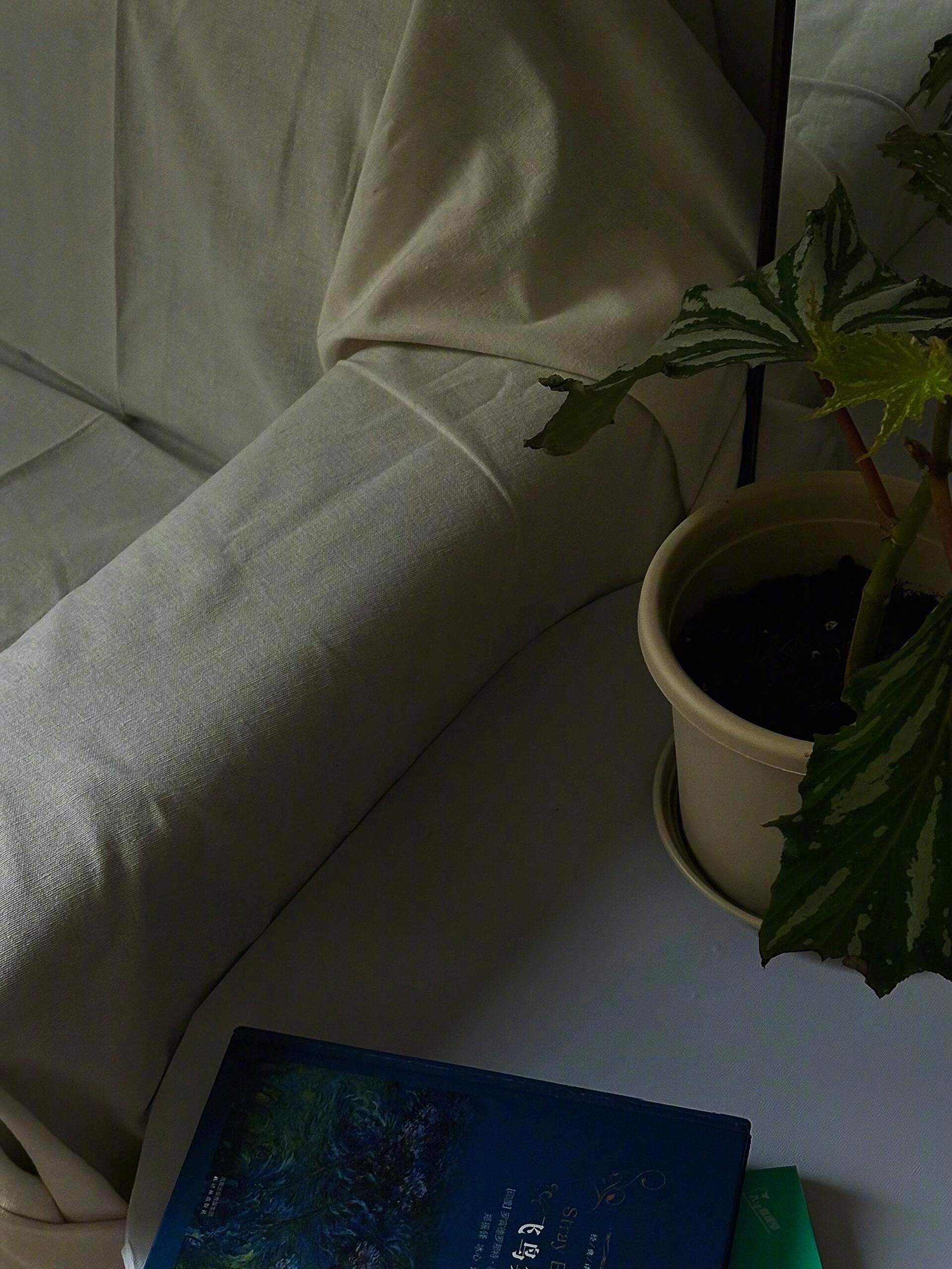 愿我们：财赋异禀，多赚人民币💰