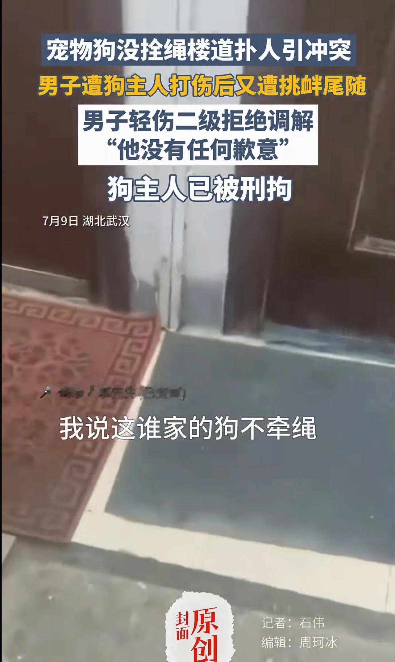 狗主人已被刑拘？！！！！！
