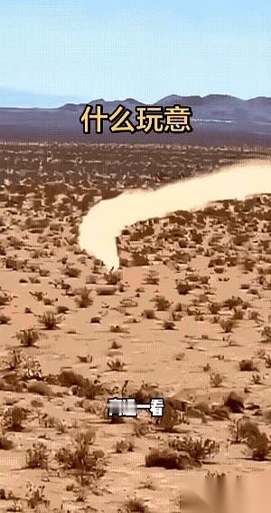 就这么…活活气死了。真的，我刚看完一个视频，到现在脑子还嗡嗡的。一只狐狸，拼