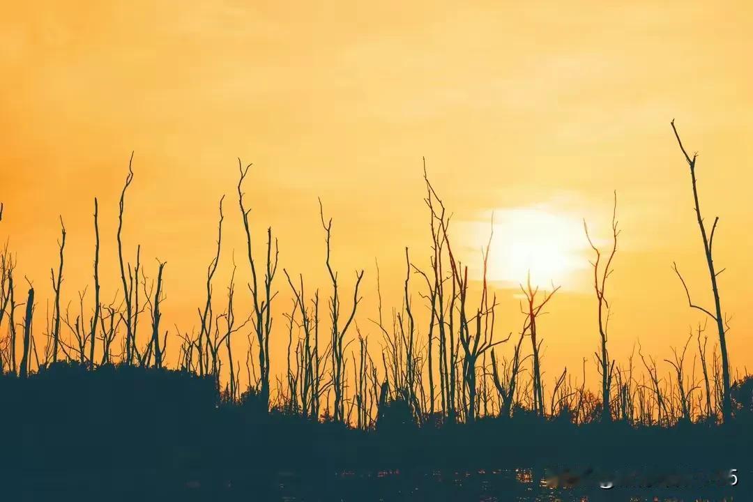 人到中年，别太在意孩子，更不要企图依赖和把孩子攥紧。为人父母，年轻时总把孩子
