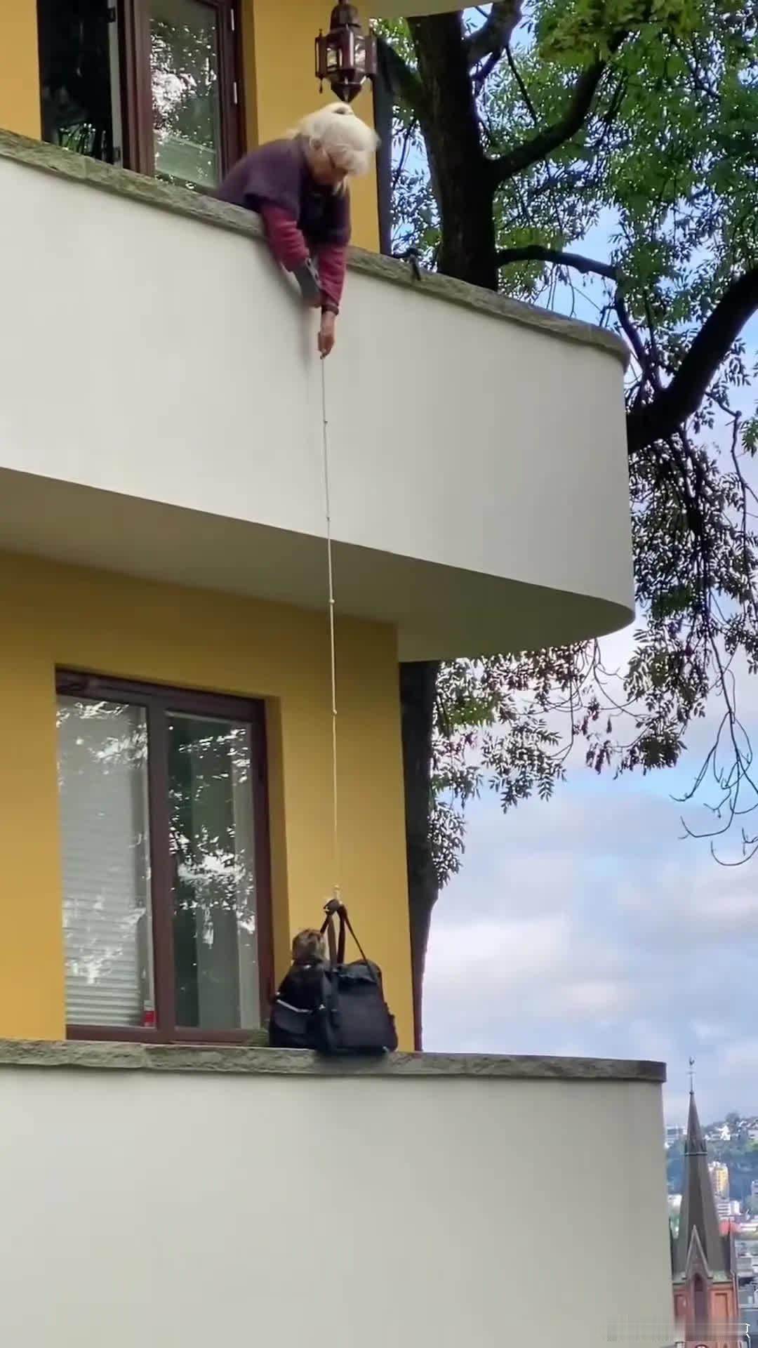 喵：奶奶很喜欢我，我也很喜欢奶奶！萌宠宠物