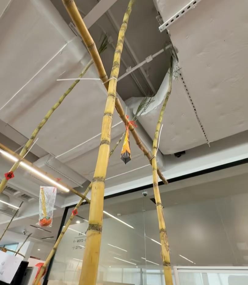 腾讯给员工发甘蔗没想到把办公室天花板都给捅破了这寓意好呀本来甘蔗就代表着节