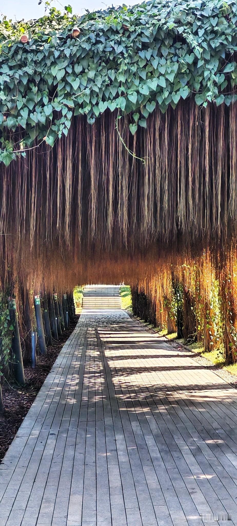 抖音上看到一条视频，广东女远嫁甘肃。看样子结婚生子就没回过娘家。孩子也有一岁了。