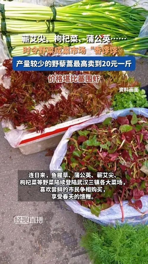 20元一斤！野菜成菜场“香饽饽”，为啥越贵越抢？看完懂了春天的小心思春天一到