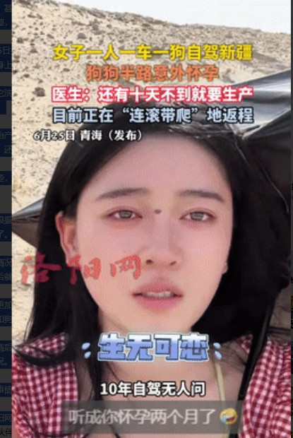 真是计划赶不上变化！一女子带狗子准备自驾新疆，可没想到，走到半路时却意外发现狗子