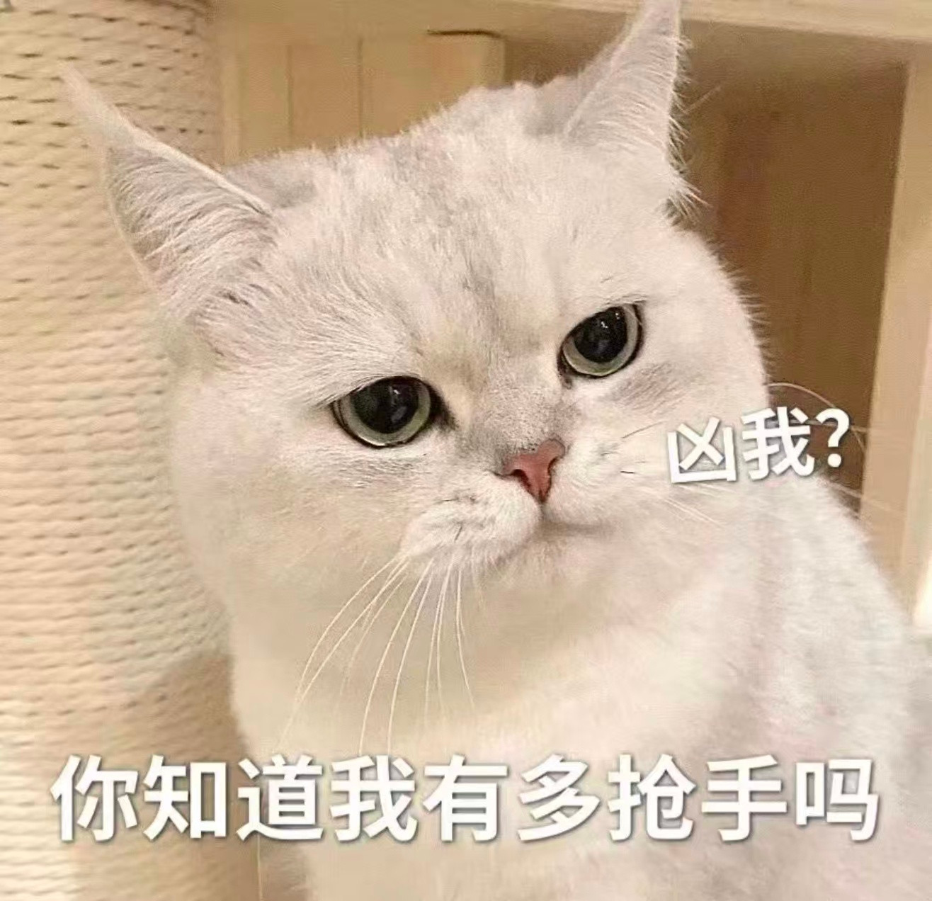 今天跟一个小兄弟聊起买车的事他说爸妈给他25预算，让他自己选他喜欢问界M7，但预