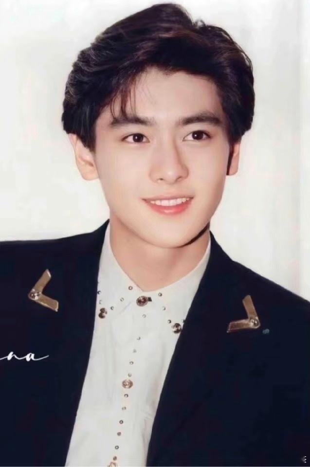 爱豆歌手组合，好像每个组合里都有林志颖这款