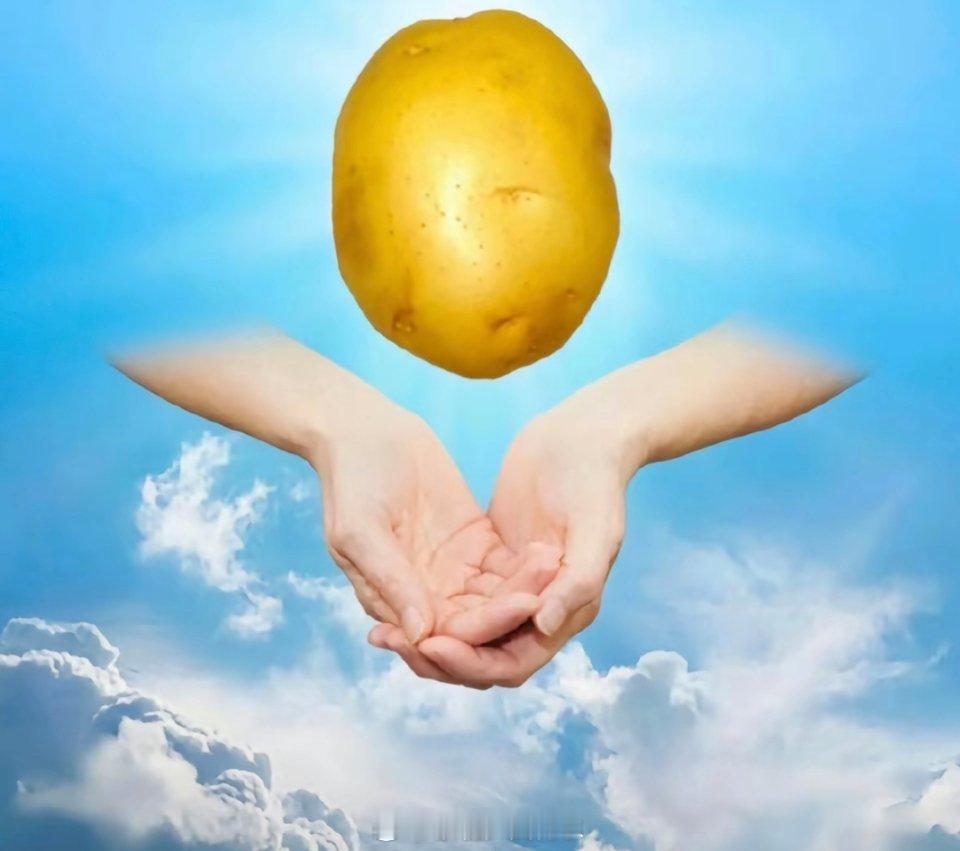 为什么不把土豆当做主粮土豆简直是最完美的主食，理由如下1、土豆不用煮太久2、土豆