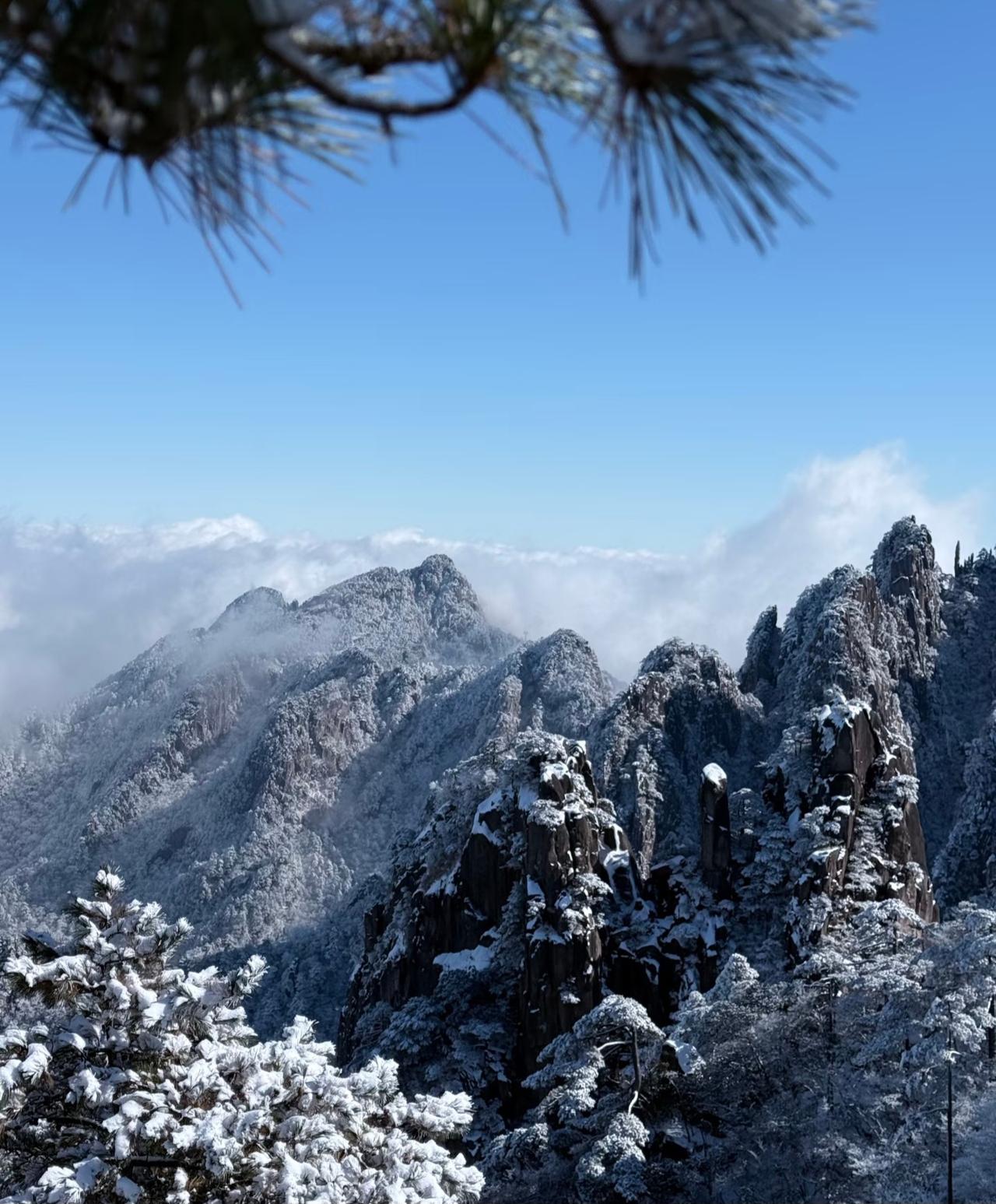 求问！黄山的雾凇现在还有吗？最近又去爬黄山的小伙伴嘛请问下山上的雾凇还有不