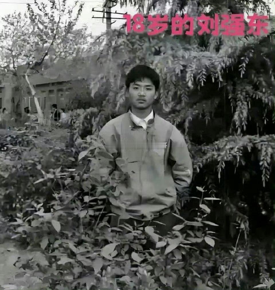18岁的刘强东vs18岁的章泽天