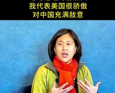 当初美国提出收货轮靠港费，是华裔贸易代表戴琪提出来的。有人声称她是国民党军统首脑