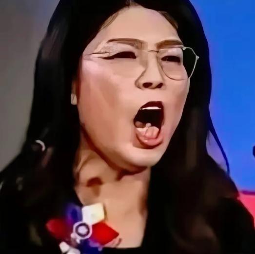 这下彻底热闹透了！两岸乃至国际上的目光全聚过来，台湾地区国民党负责人郑丽文的一句