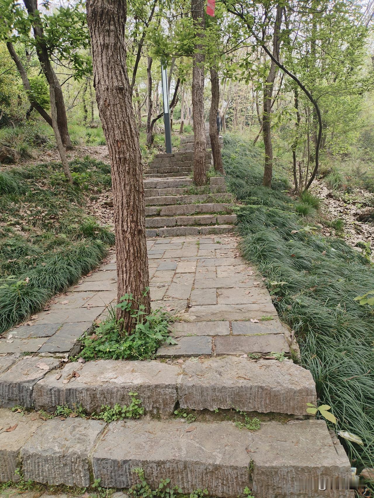 一位肿瘤科主任医师说：“如果你想让自己多活几年，你就谁都不要管，管好自己就行