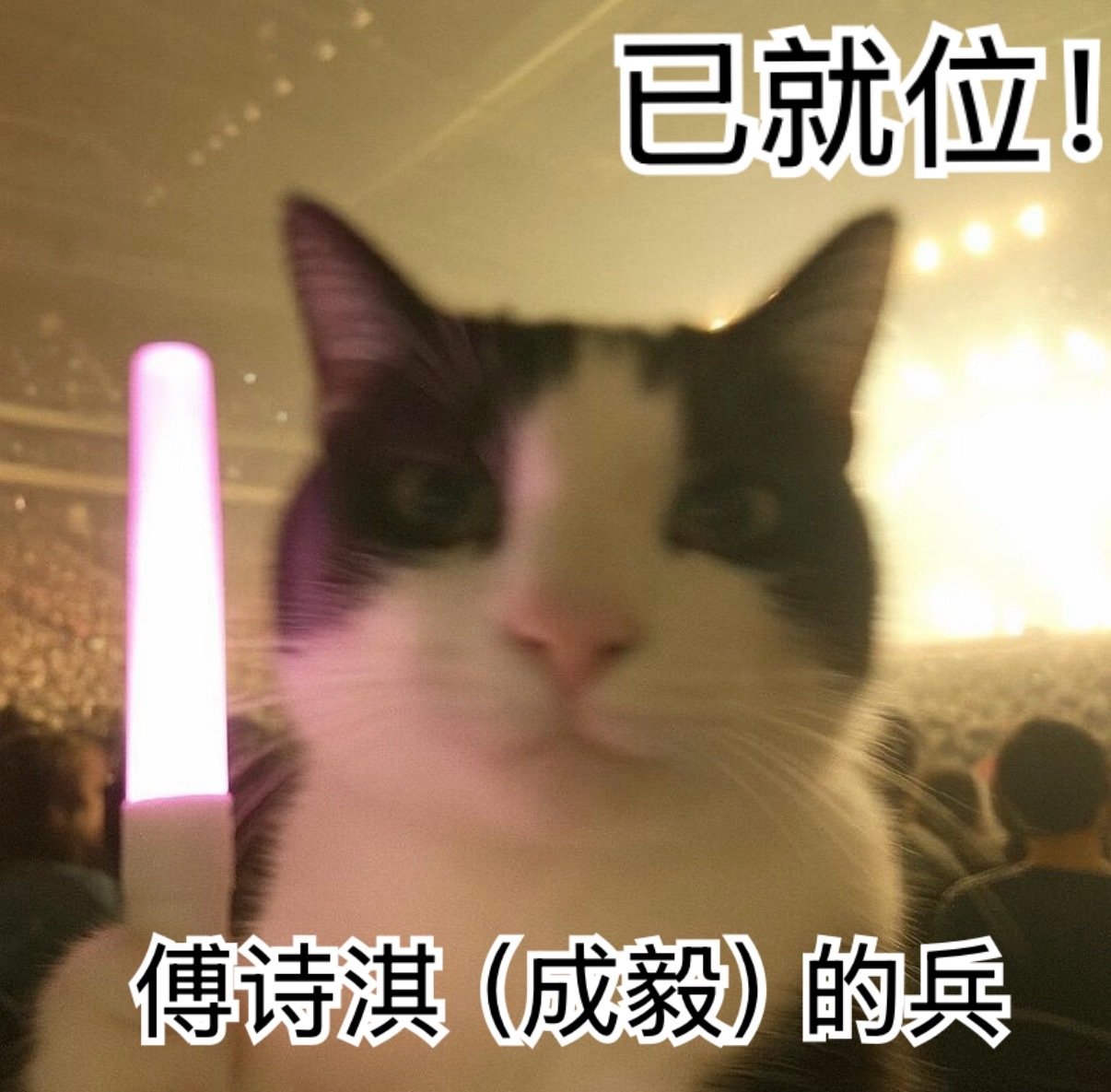 八月我这下是真没空陪你闹了