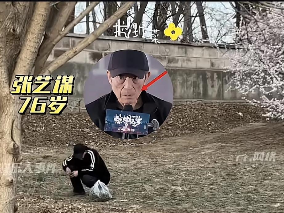 76岁的张艺谋在北京公园挖野菜被网友拍到，画面里他动作娴熟，塑料袋装得满满当当。