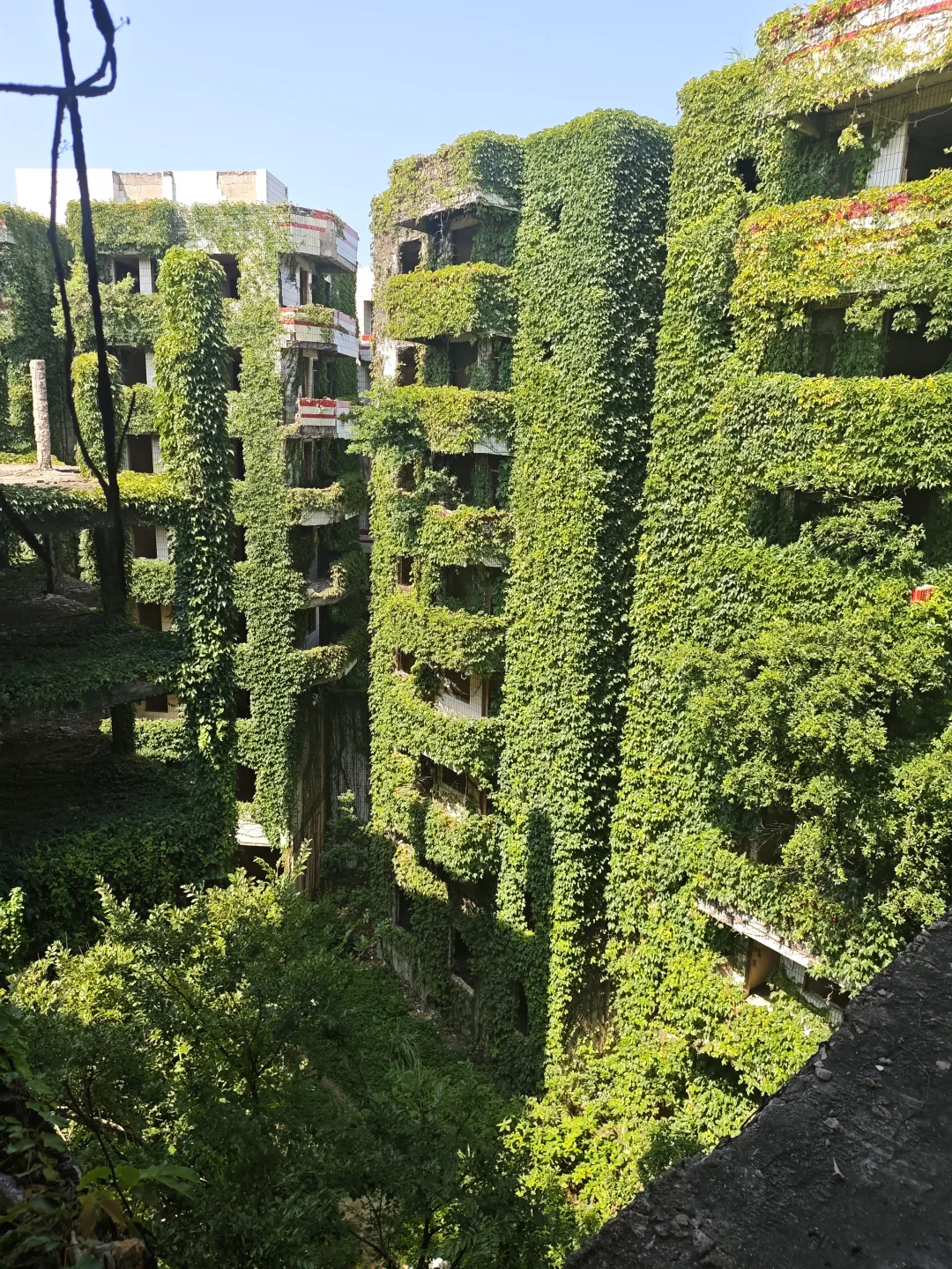 潮汕版绿野仙踪