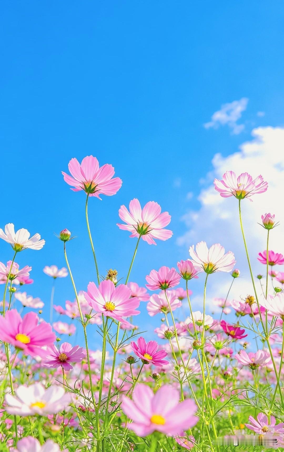 弘一法师说：“有人不相信轮回，一年四季就是轮回；有人不相信因果，贫富美丑就是因果