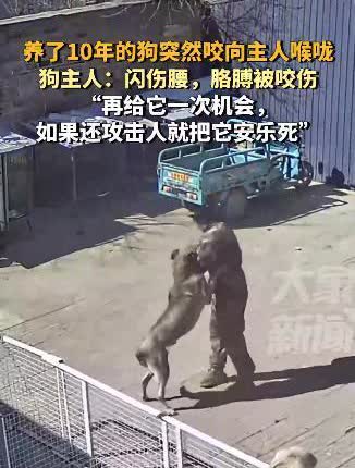 “细思极恐！”4月2日，河北保定，一男子和家养狗打闹时，踢了狗狗一脚，没曾想，养