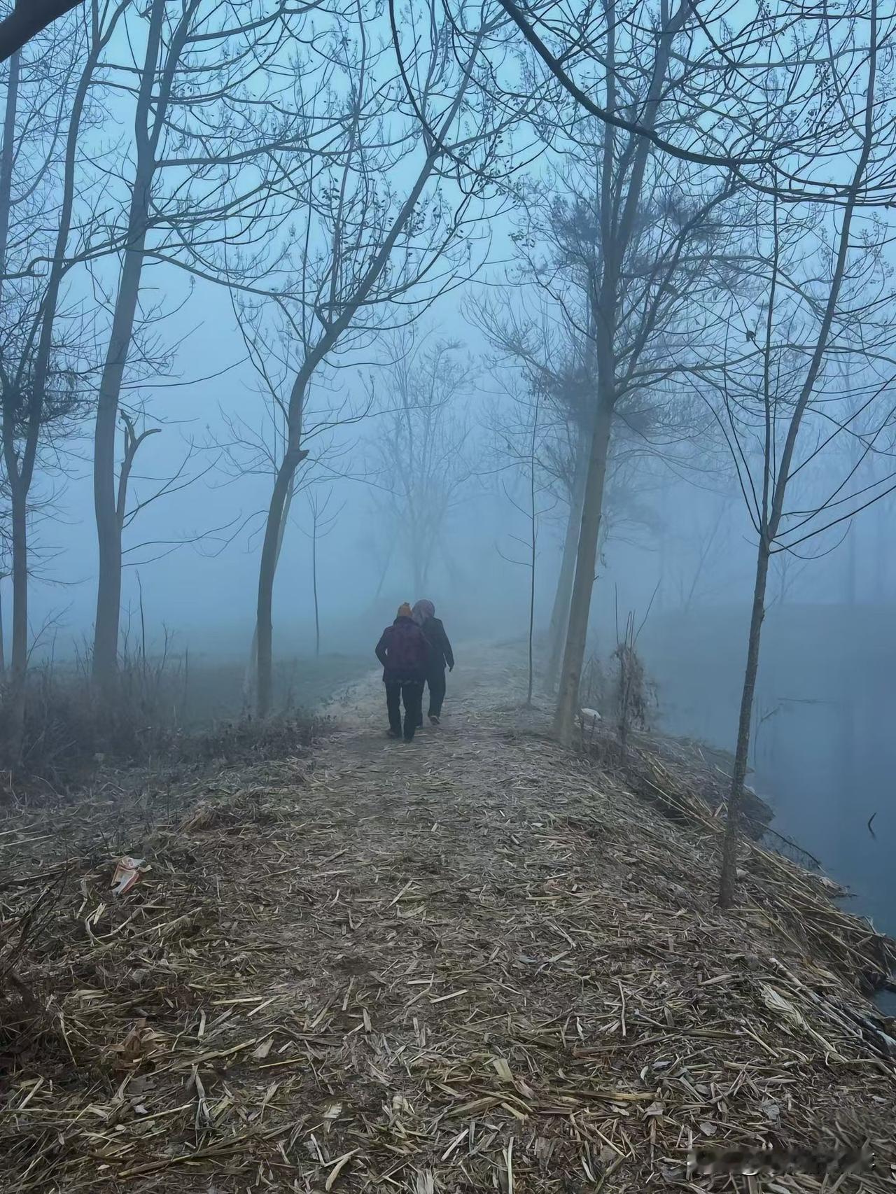 今天早上送孩子去幼儿园，在乘坐电梯的时候看到一位同楼的老太太推着一个小孩儿手推车
