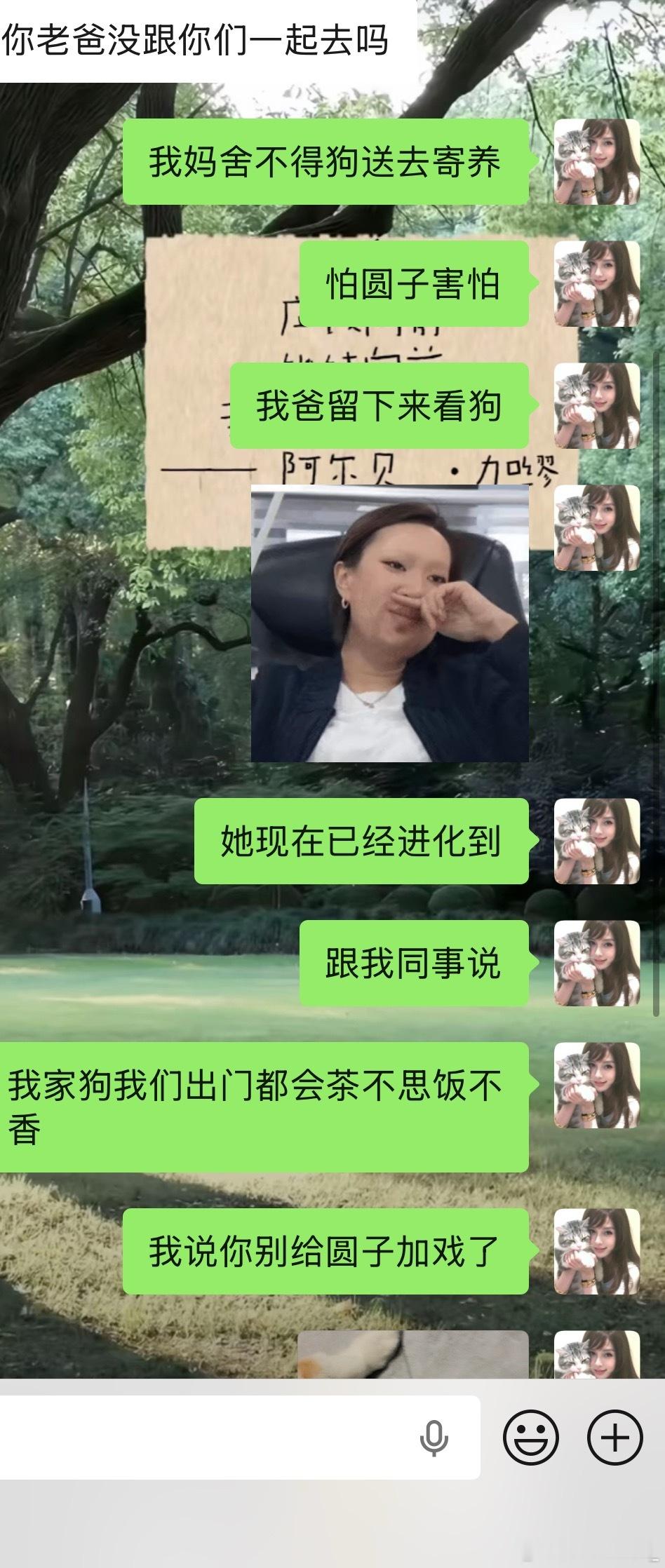我妈的想象：图一实际：图二图三