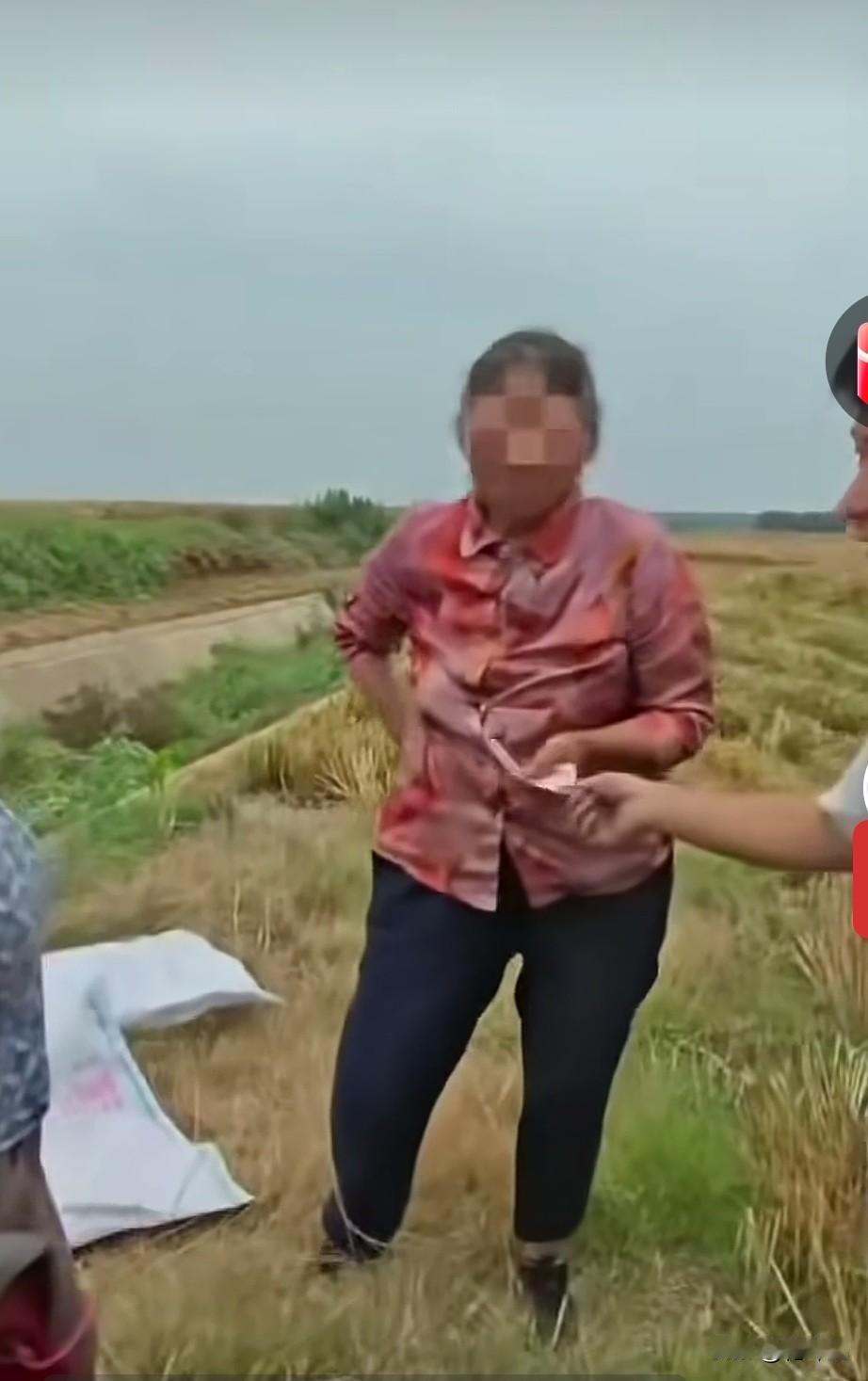 比“割四罚五”更狠的是买路钱？还是湖北，收割手从大娘麦茬地里走一趟要200元过路