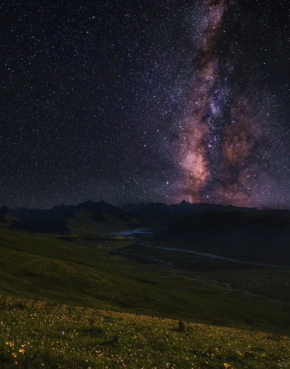 漫山野花铺在草坡，银河倾泻在连绵群山之上。山野安静，星光铺满整片夜空。摄影​​
