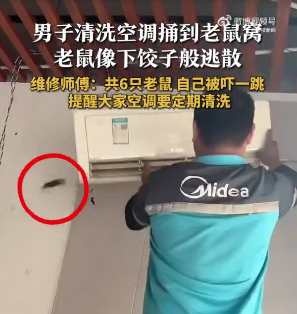 吓死了！上海，男子平时很少用客厅的空调，最近天热想开一下，结果一按遥控器，就听见