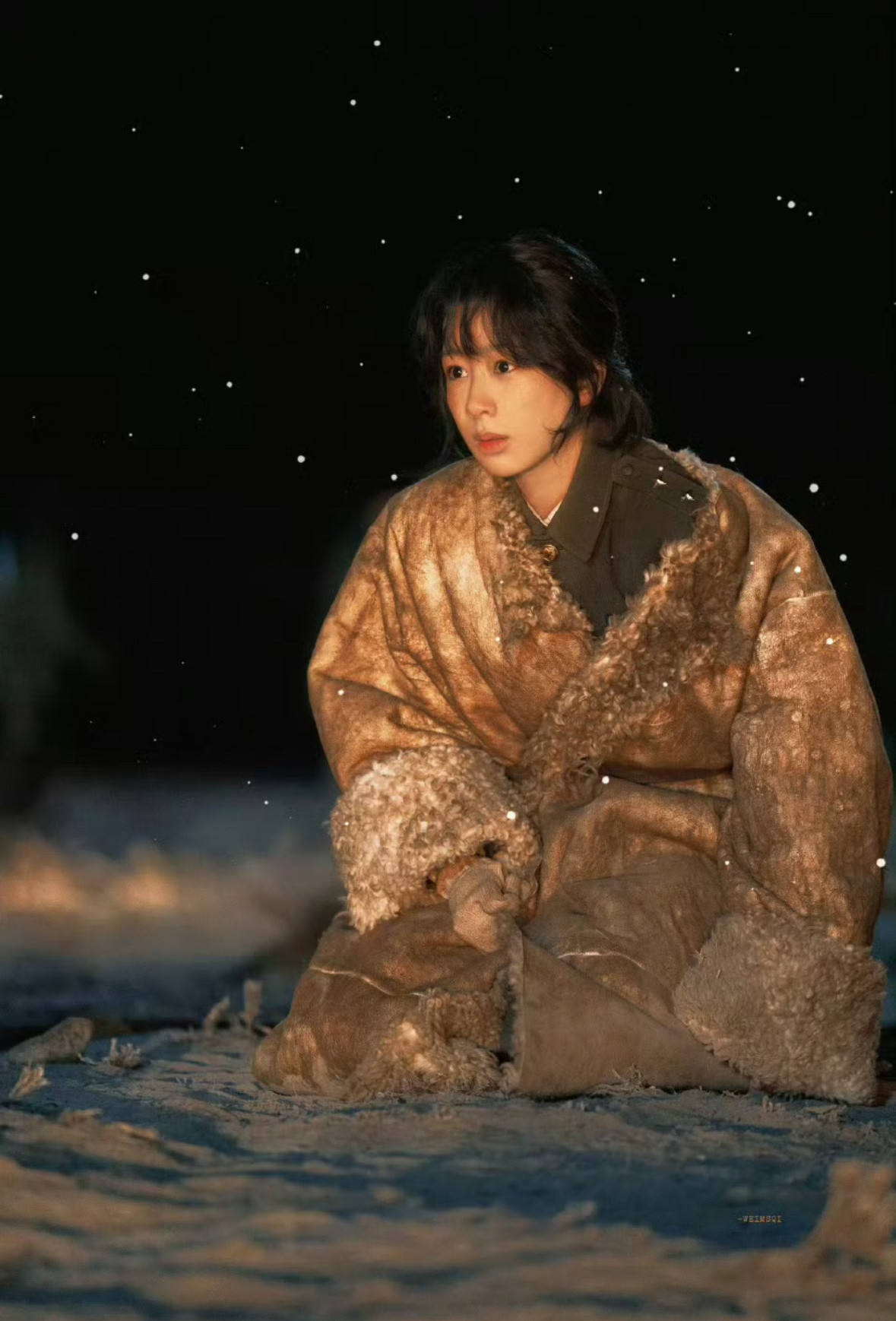 生命树生命树收视率正午阳光开年现实剧《生命树》口碑分化！可可西里生态守护题材稀