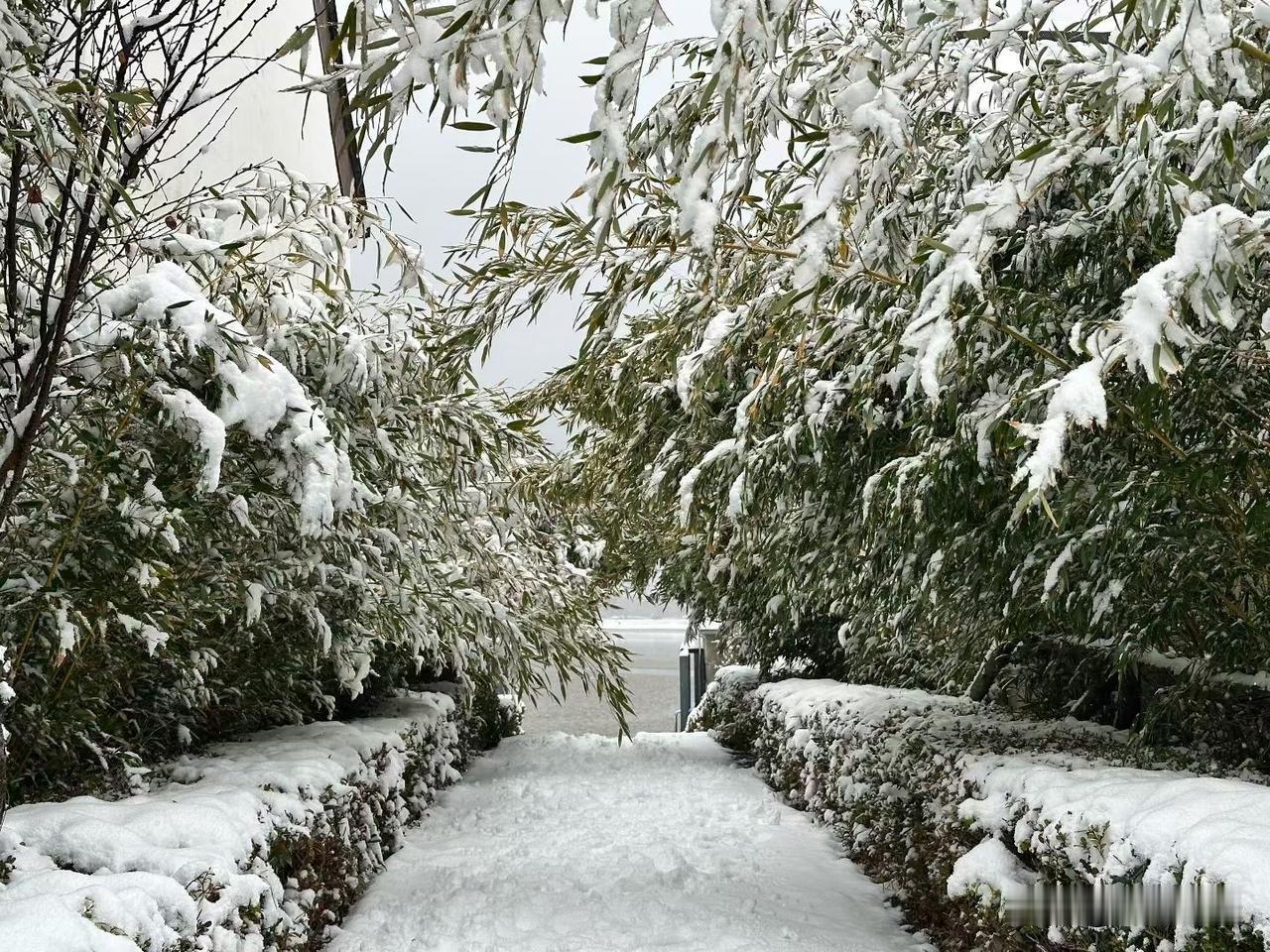 你有没有过这种崩溃时刻？熬夜改了8遍的方案，还是被老板打回；费劲巴拉跟了半个月的