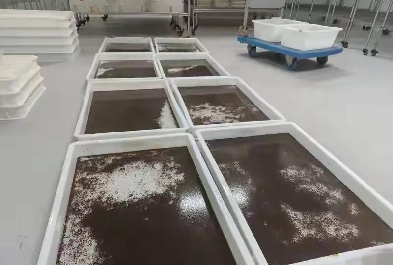 有意思，广州“蚊子工厂”每周生产五百万只“绝育雄蚊”来“挑战”基孔雅热病毒，意思