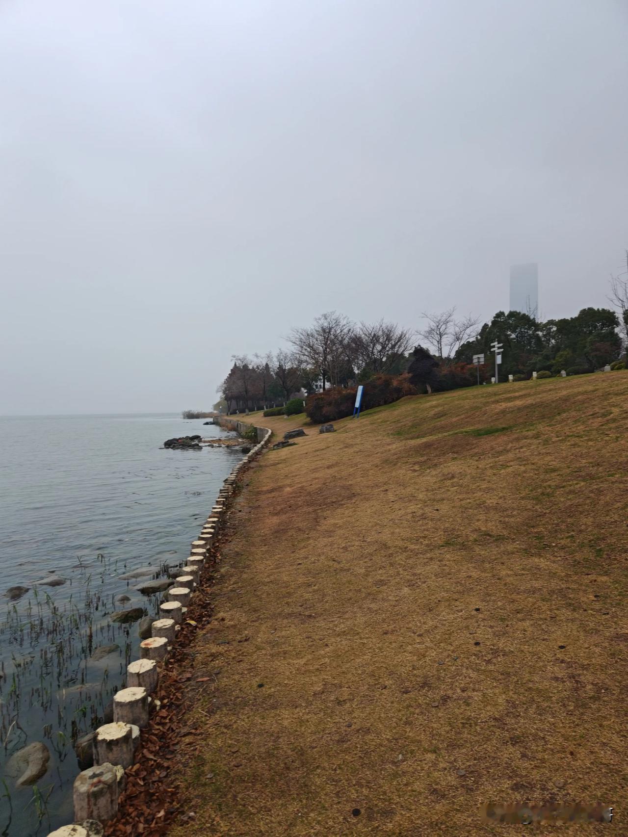 今年二月中旬才过年，总感觉过的好慢，小时候总盼着过年，长大了其实害怕过年，过一年