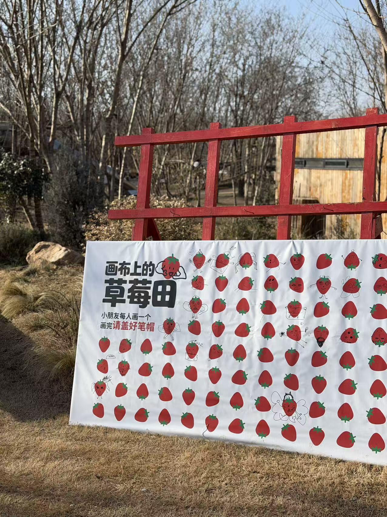 不知从何时起，摘草莓🍓就成为西安人入春的仪式感，而距离主城区更近的「米禾农场」