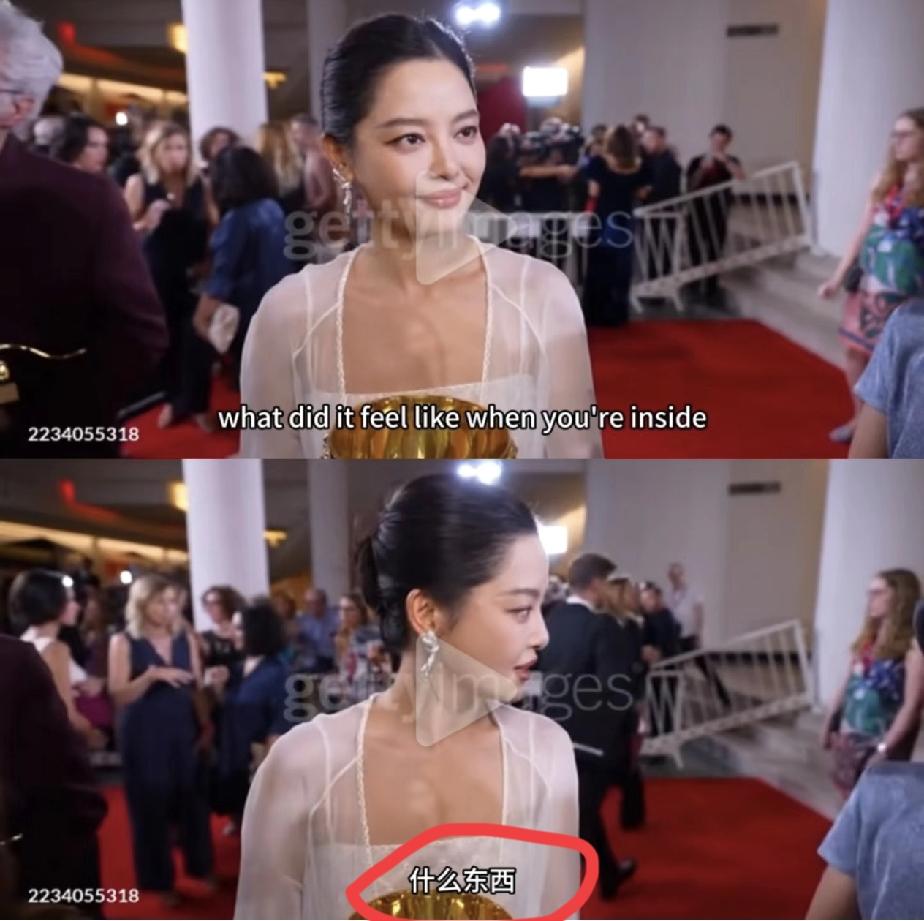 盲猜一波，辛芷蕾很大可能只是昙花一现:1，不会英语。2，国际奖项通常不符合国