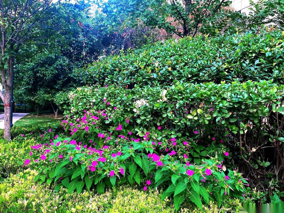 那天听纪委的朋友一句话，我后背都有点发凉。他说，有人举报一把手，说他瞎指挥、搞