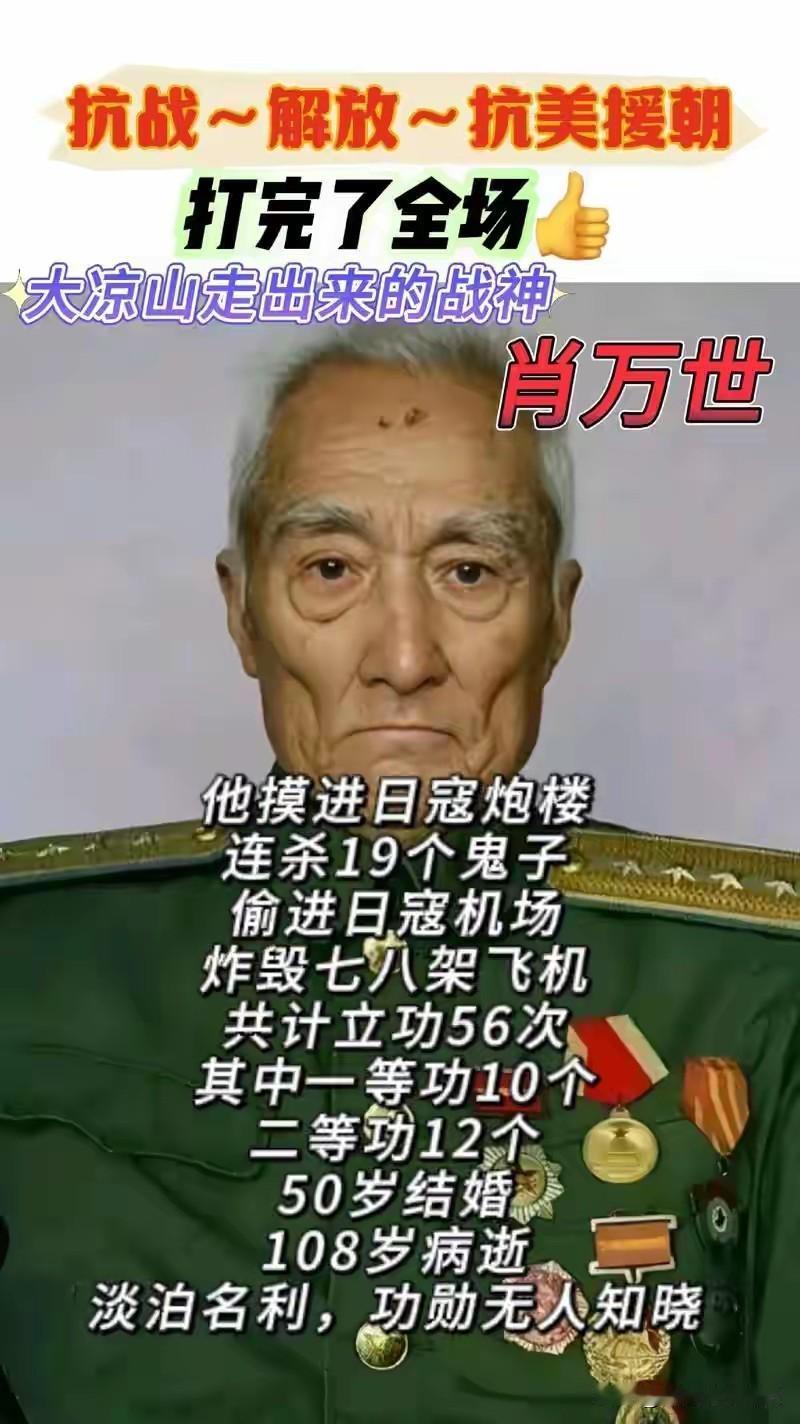 钻进草丛5分钟，12个日军高官就出事了1938年冬，肖万世肠子都快拧断了。