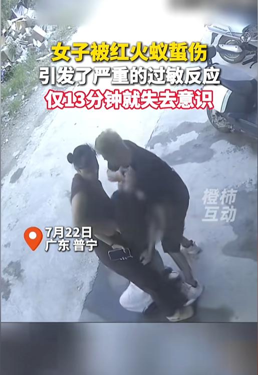 “千万重视！”7月22日，广东普宁，一女子坐在自家门口，从楼上吹下来一只红火蚁，
