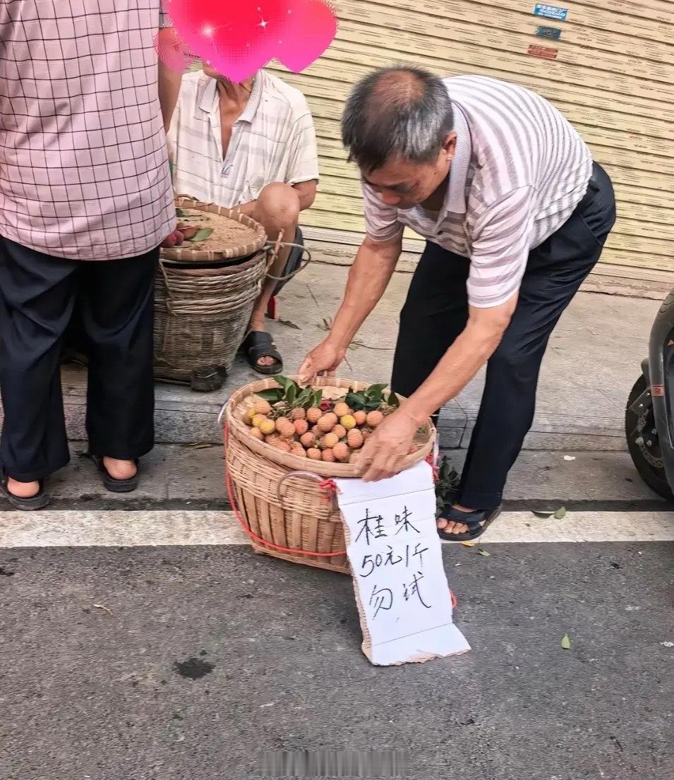 50一斤的桂味？看来作为产地的广西也是怕吃不起荔枝的节奏啊桂味