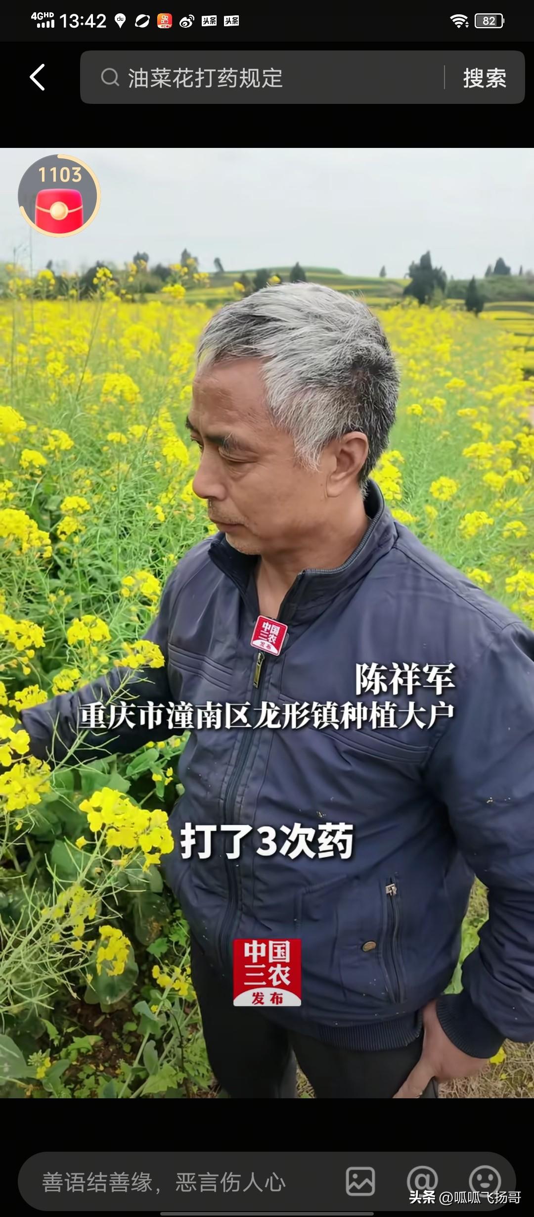 给油菜花打药，究竟应不应该？中国三农发布记者亲赴油菜种植大镇重庆潼南区龙