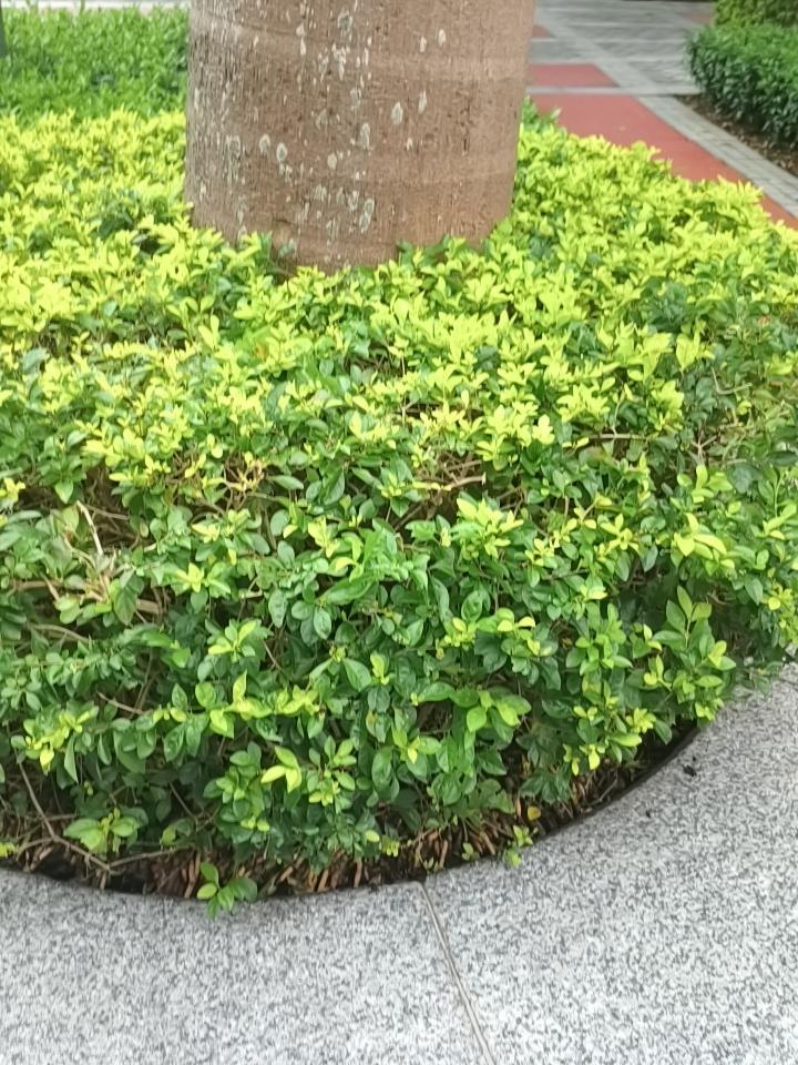 谁调解的1.9万元？而这种钱拿的不烫手吗？又对得起自己的良心吗？又见坏风气。老人