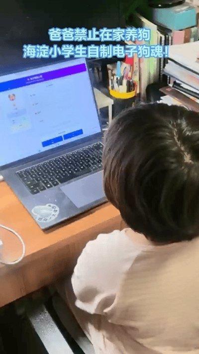 一代人有一代人的赛博宠物很多人对于电子宠物都是会非常的喜欢的呢，因为我觉得现
