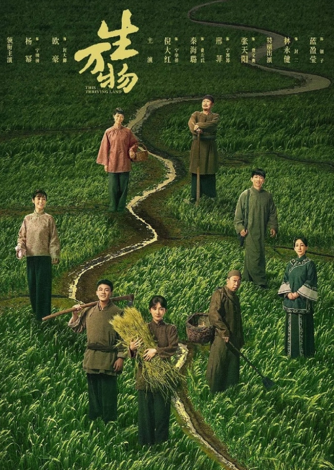 明年才是85花的白玉兰大年