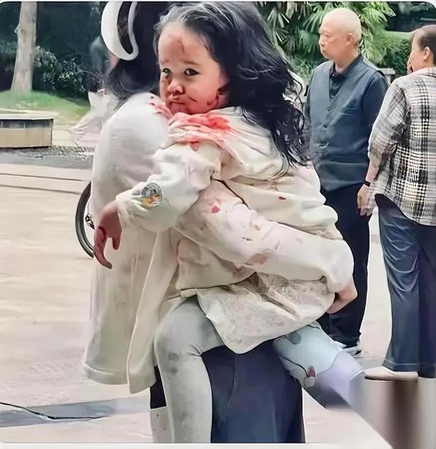 刚刷到那张图。我后背直接发凉。原来最该骂的根本不是那条咬人的烈性犬。