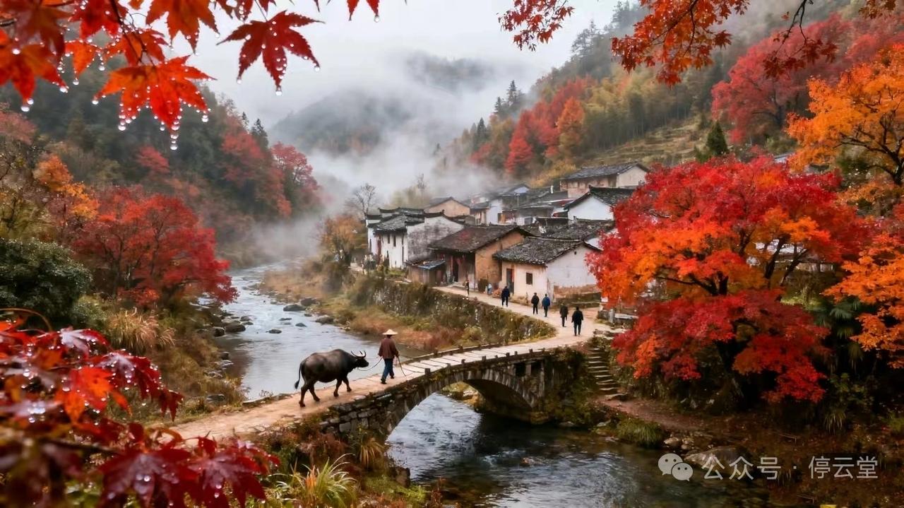 水仙子·秋访枫岭枫岭秋访忆亲长，僻壤山村入夕阳。霜枫叶舞金波荡。稻田间、